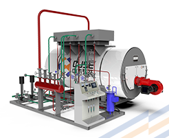 Skid mounted boiler